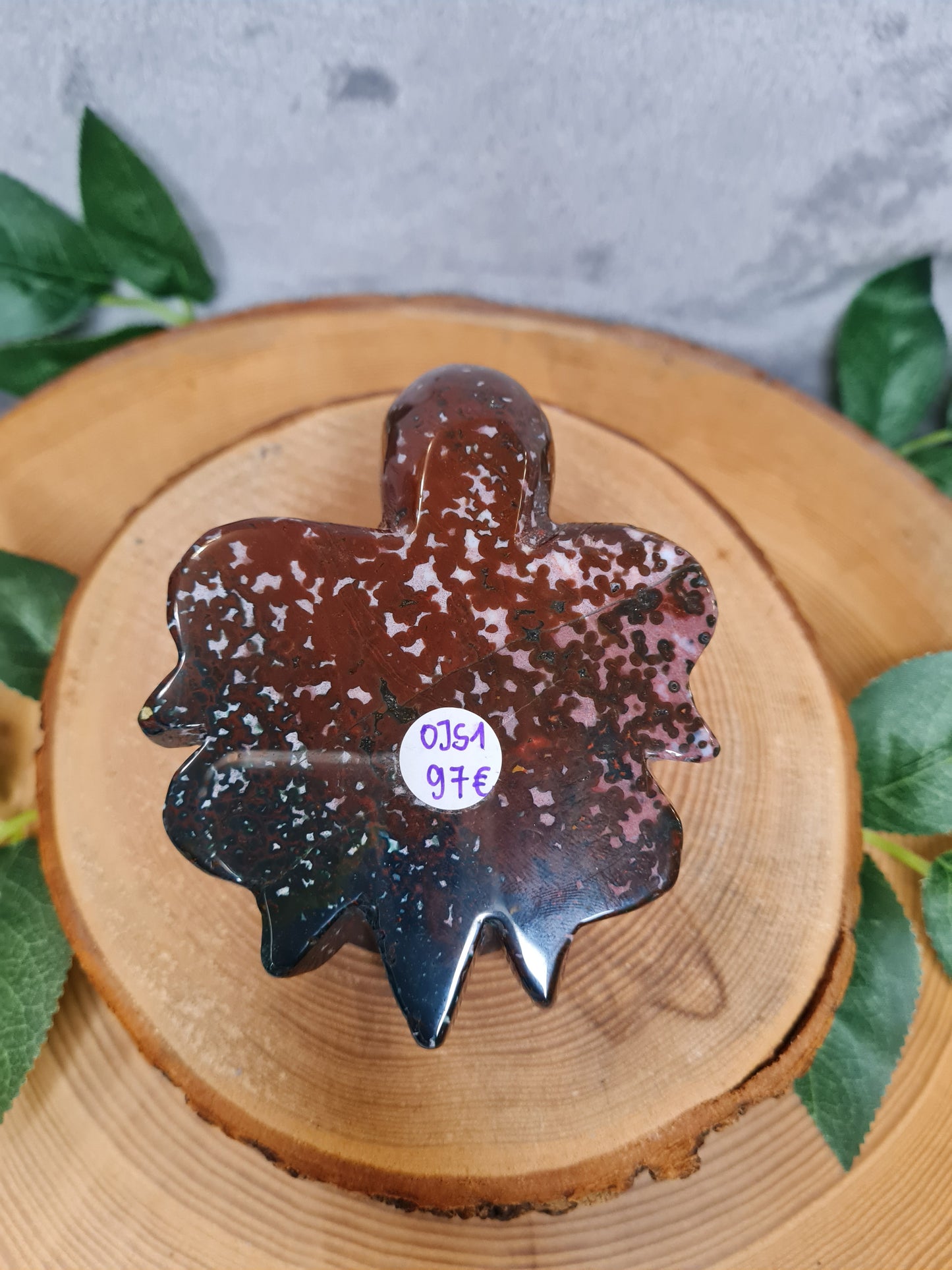 Ozean Jaspis Schildkröte (OJS1)