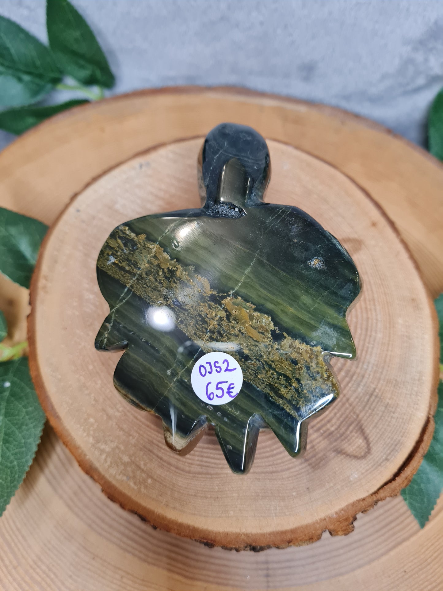 Ozean Jaspis Schildkröte (OJS2)