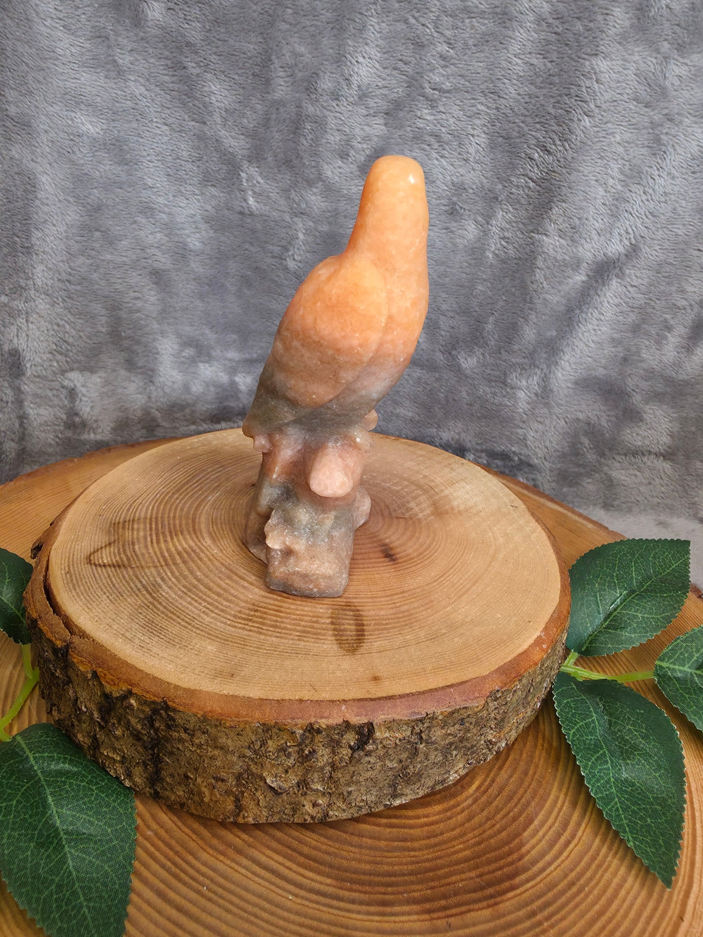 Orange Jasper Papagei (M33)