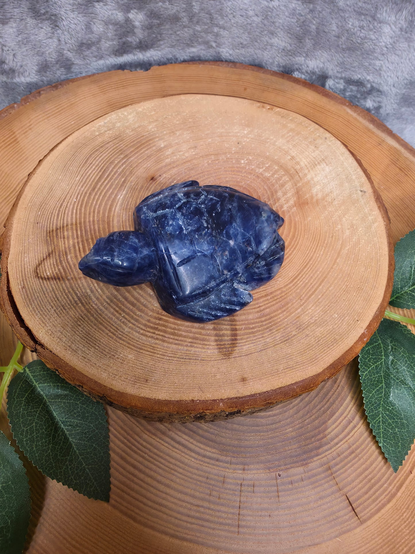 Sodalith Schildkröte (D21)