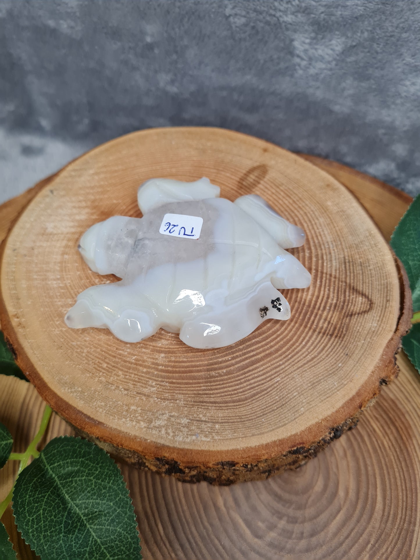 Achat Schildkröte mit Druse (TU26)