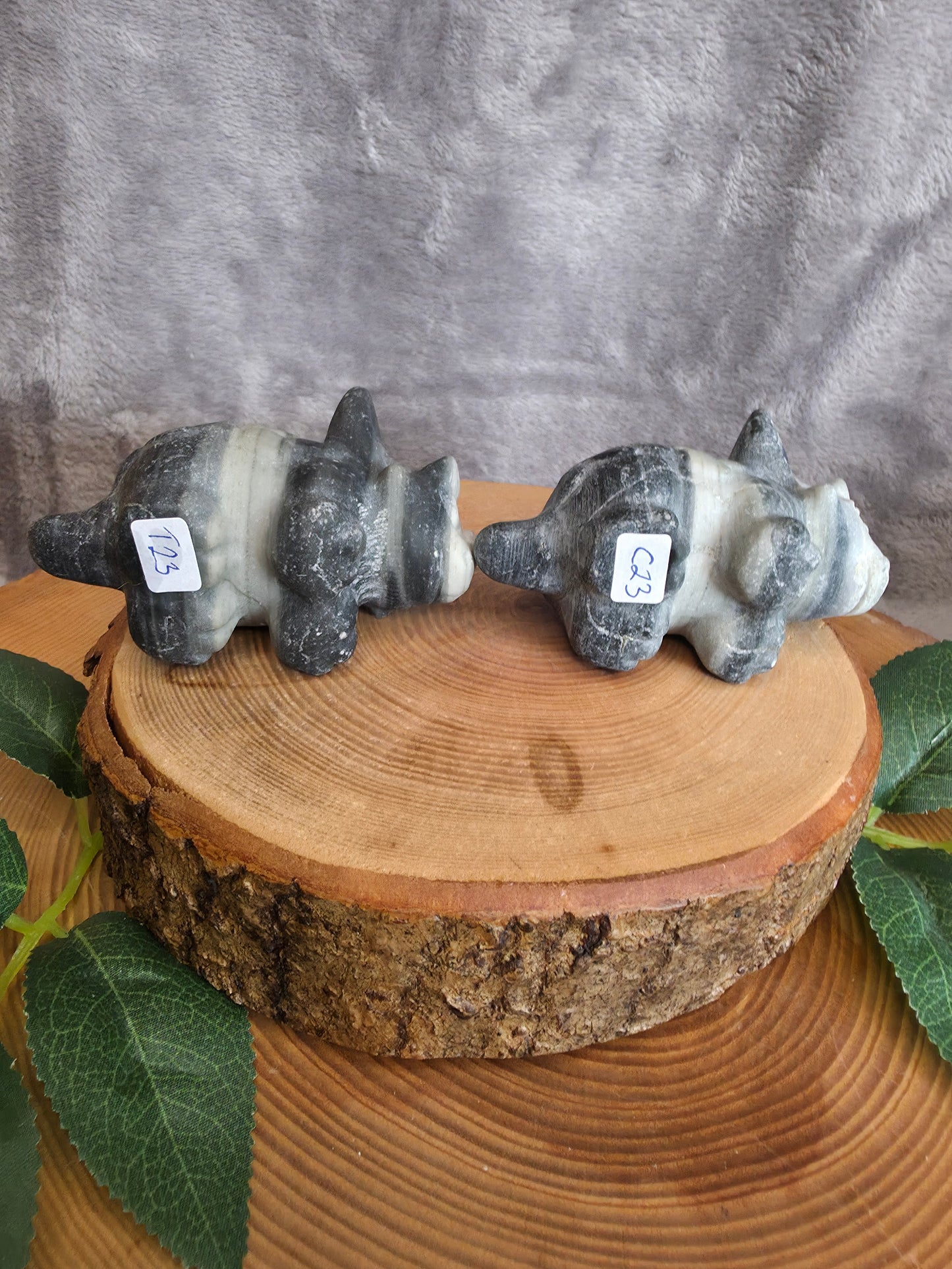 Tai Chi Triceratops (wählbar)