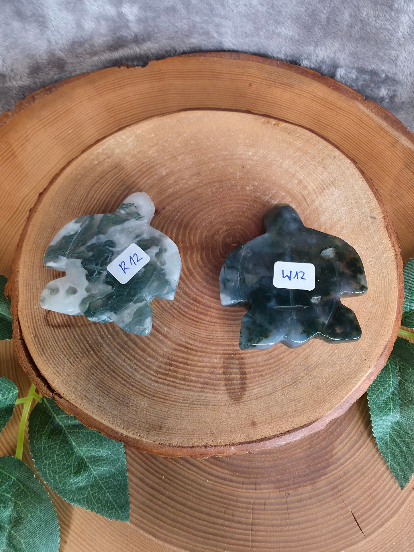 Moosachat Schildkröte (wählbar)