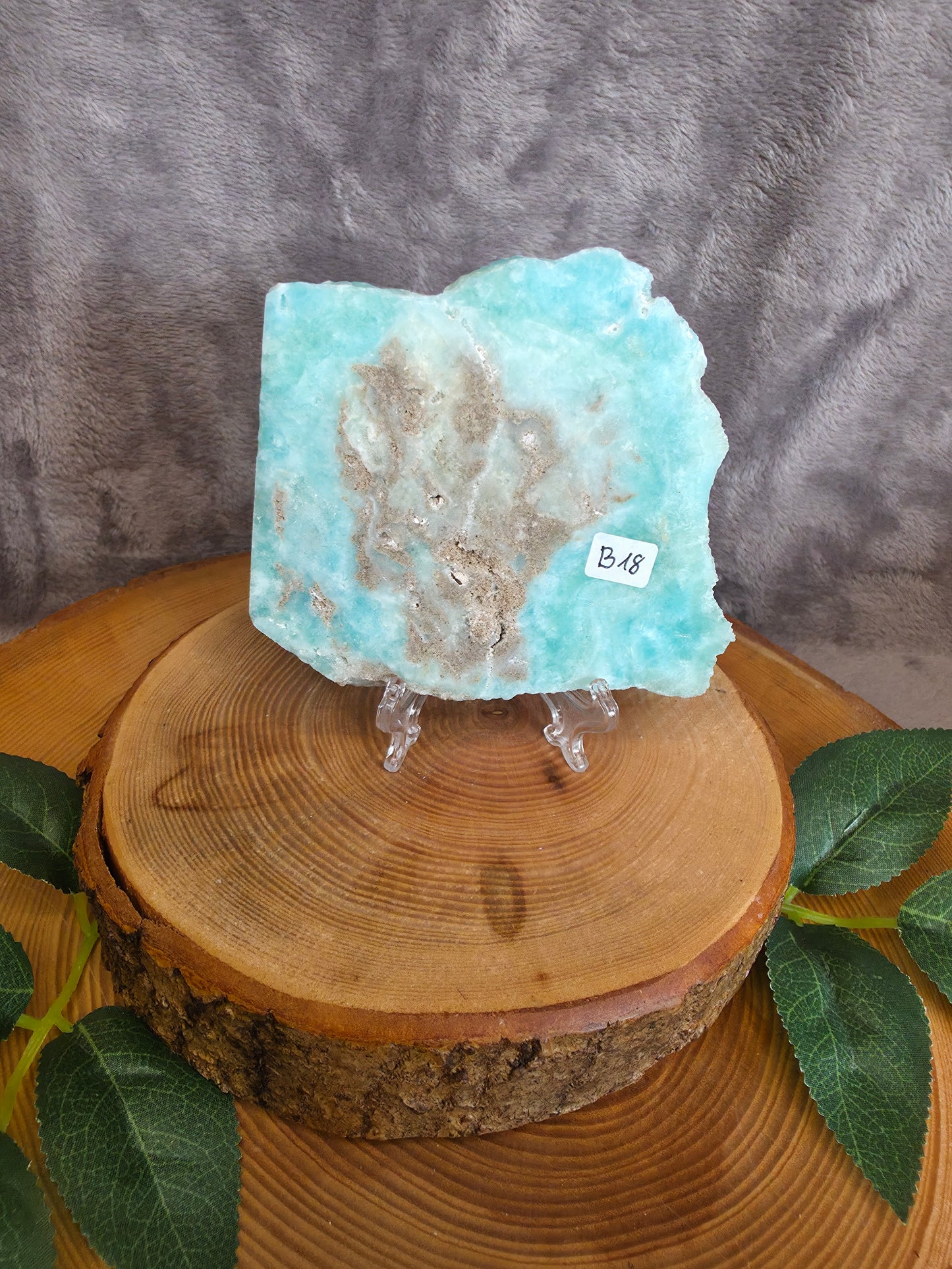 Karibischer Calcit/ Aragonit Scheibe (B18)