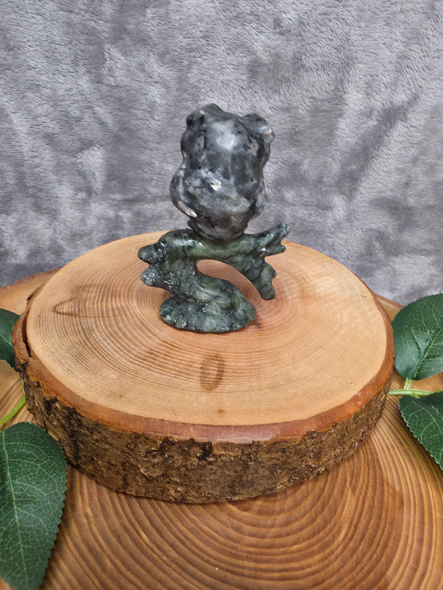 Larvikit Eule auf grüner Jade Ast