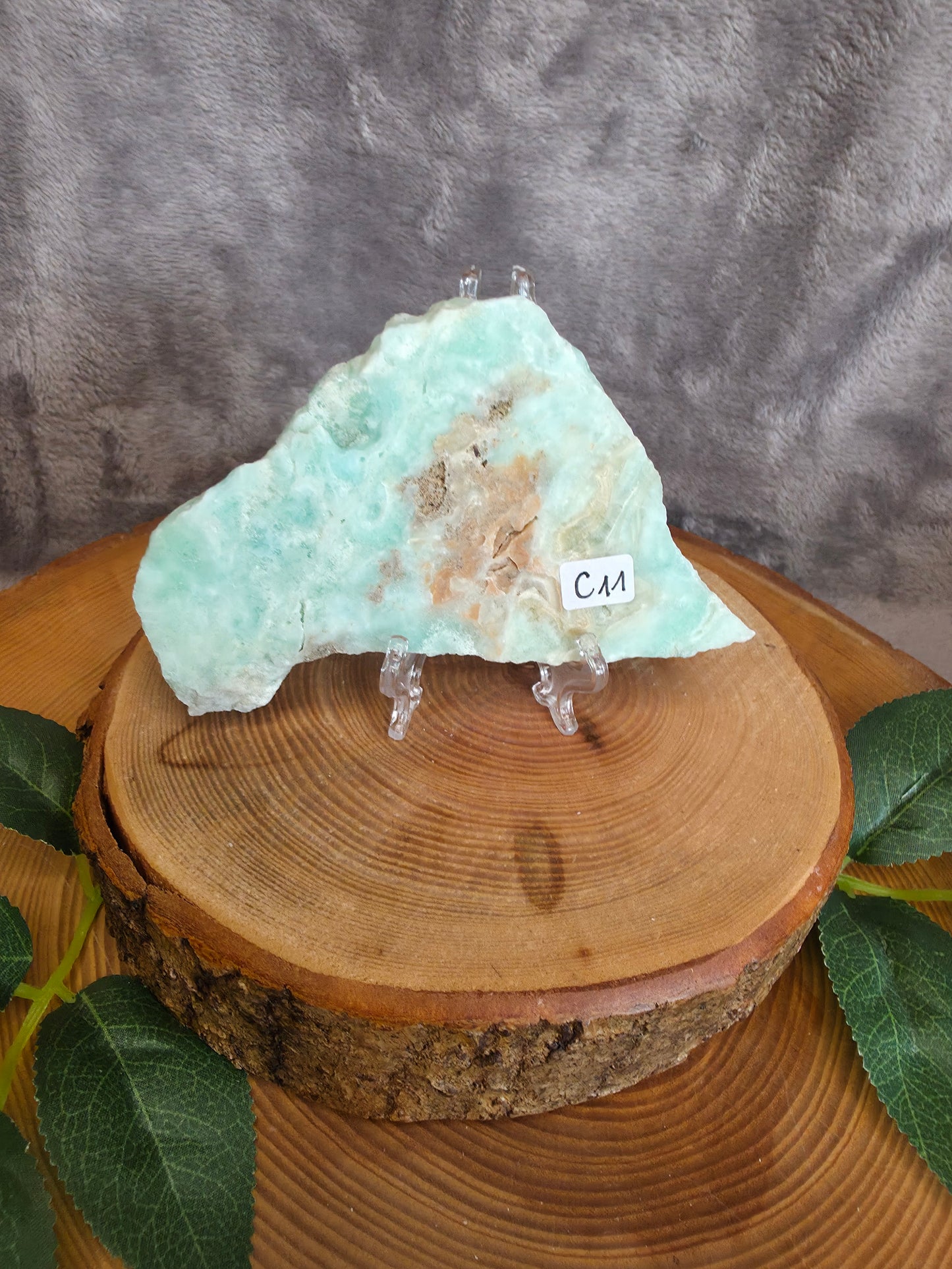 Karibischer Calcit/ Aragonit Scheibe (C11)