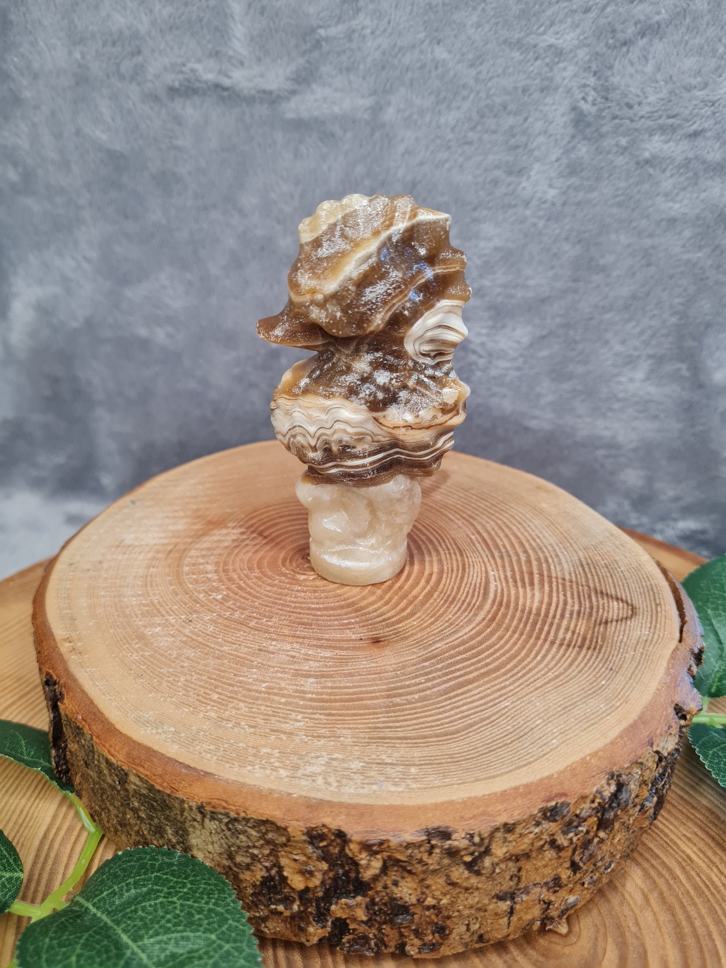 Schokoladen Calcit Seepferdchen (SO23)