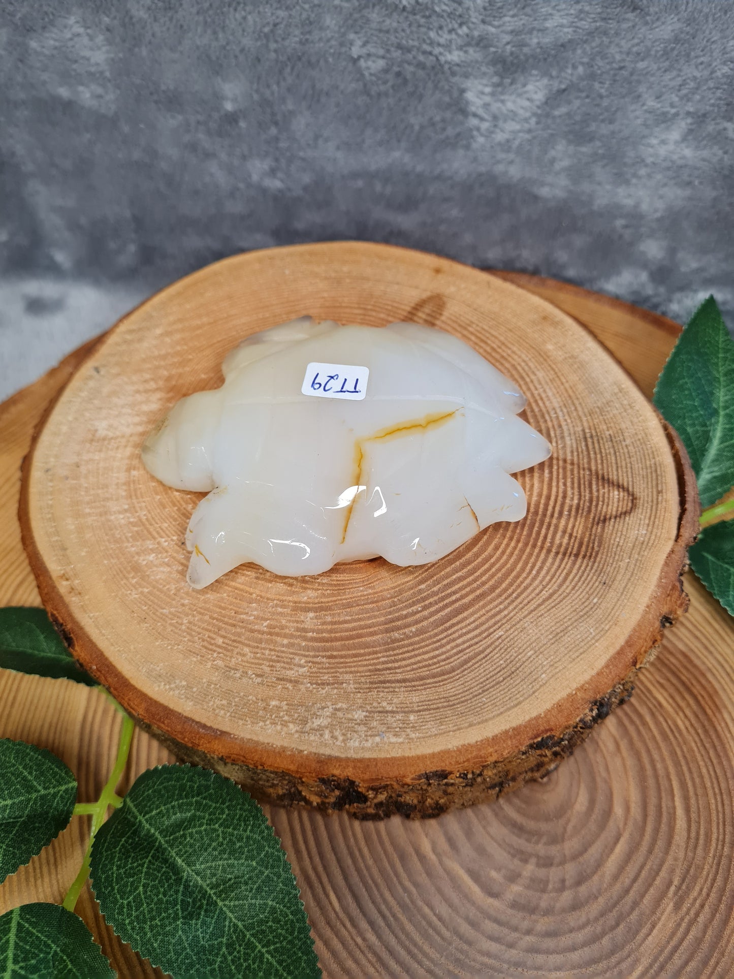 Achat Schildkröte mit Druse (TT29)