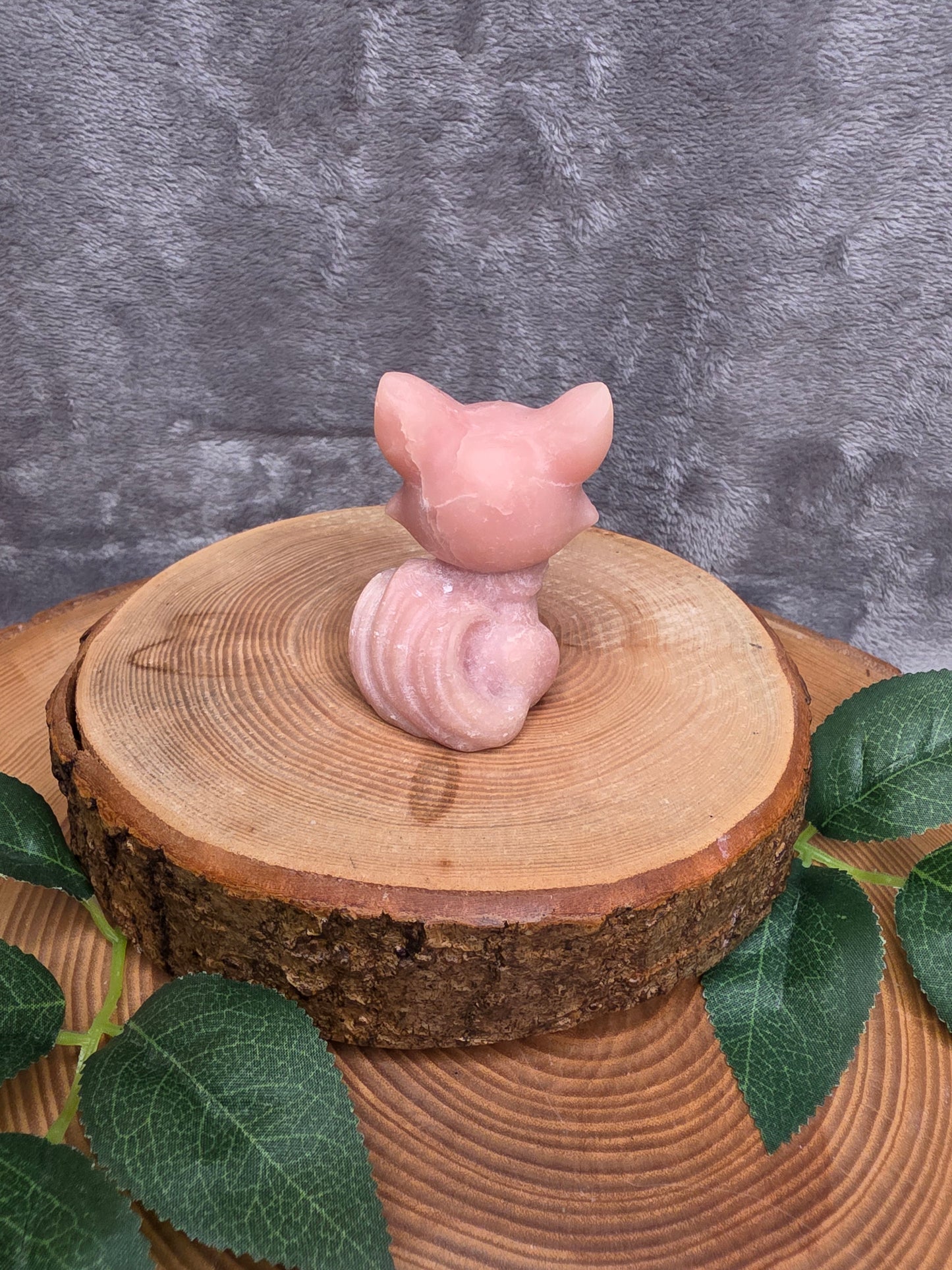 Pinker Andenopal neunschwänziger Fuchs