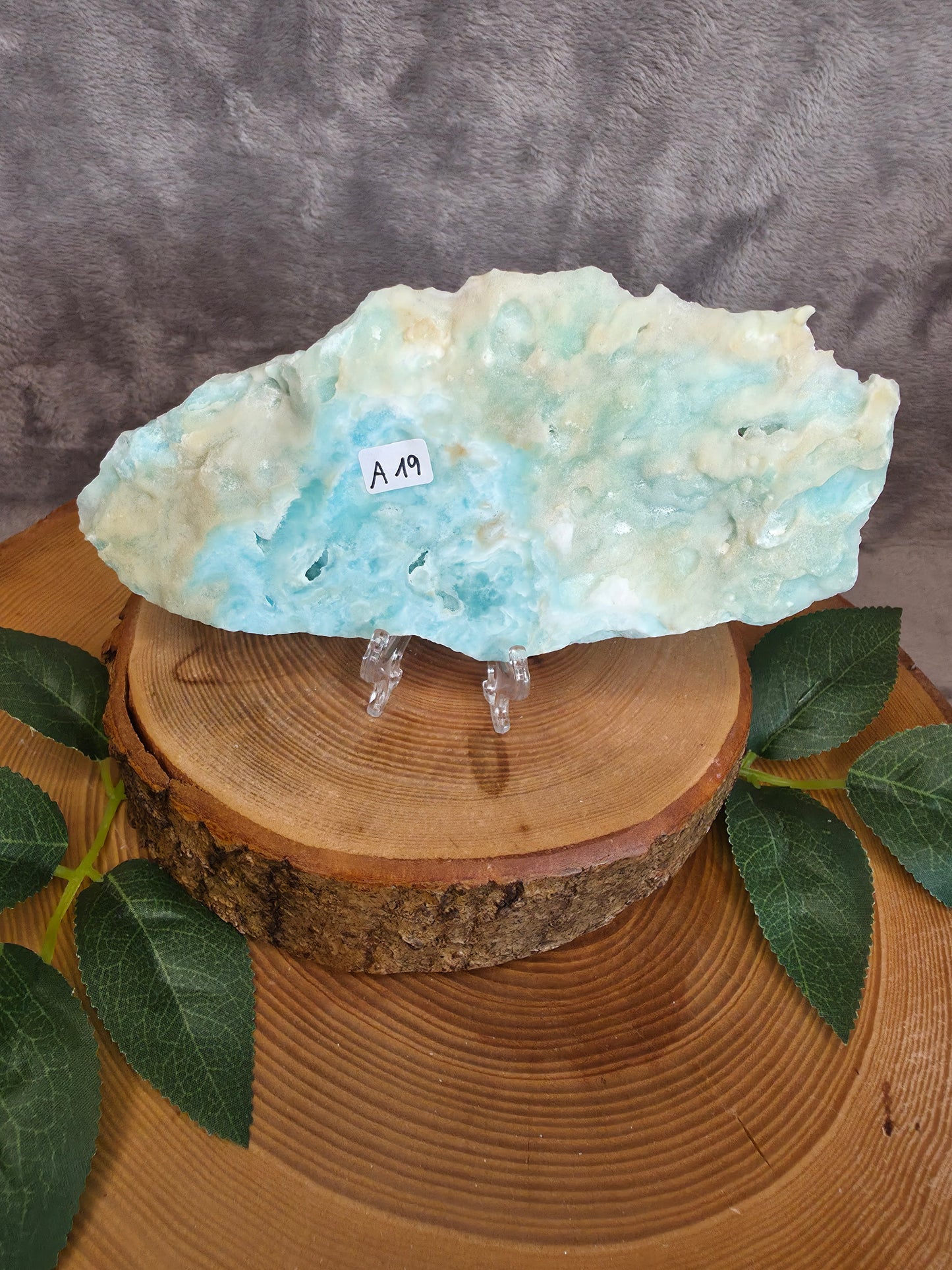 Karibischer Calcit/ Aragonit Scheibe (A19)