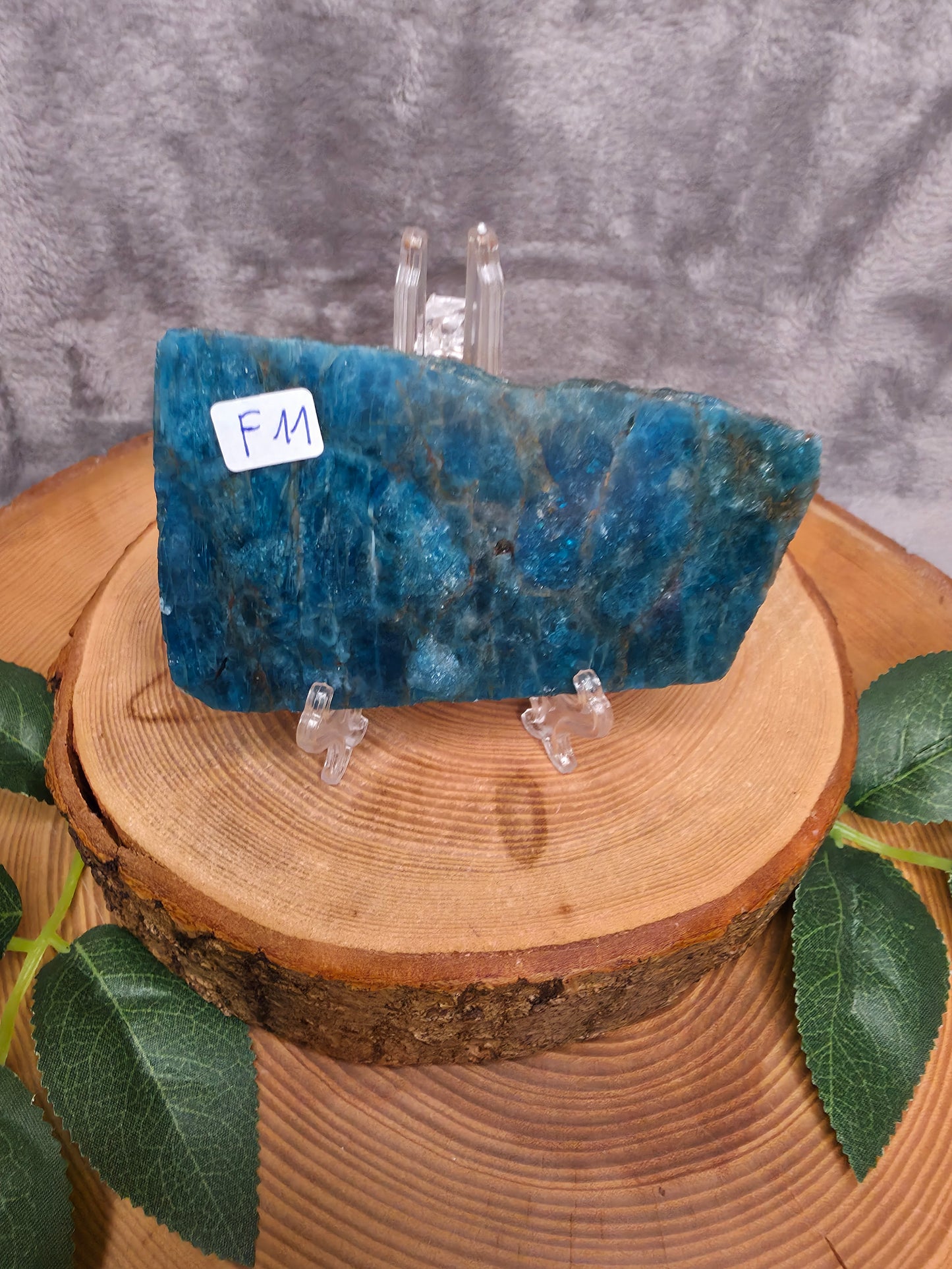 Apatit Scheibe (F11)