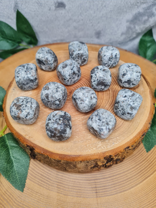 Yooperlite Trommelstein