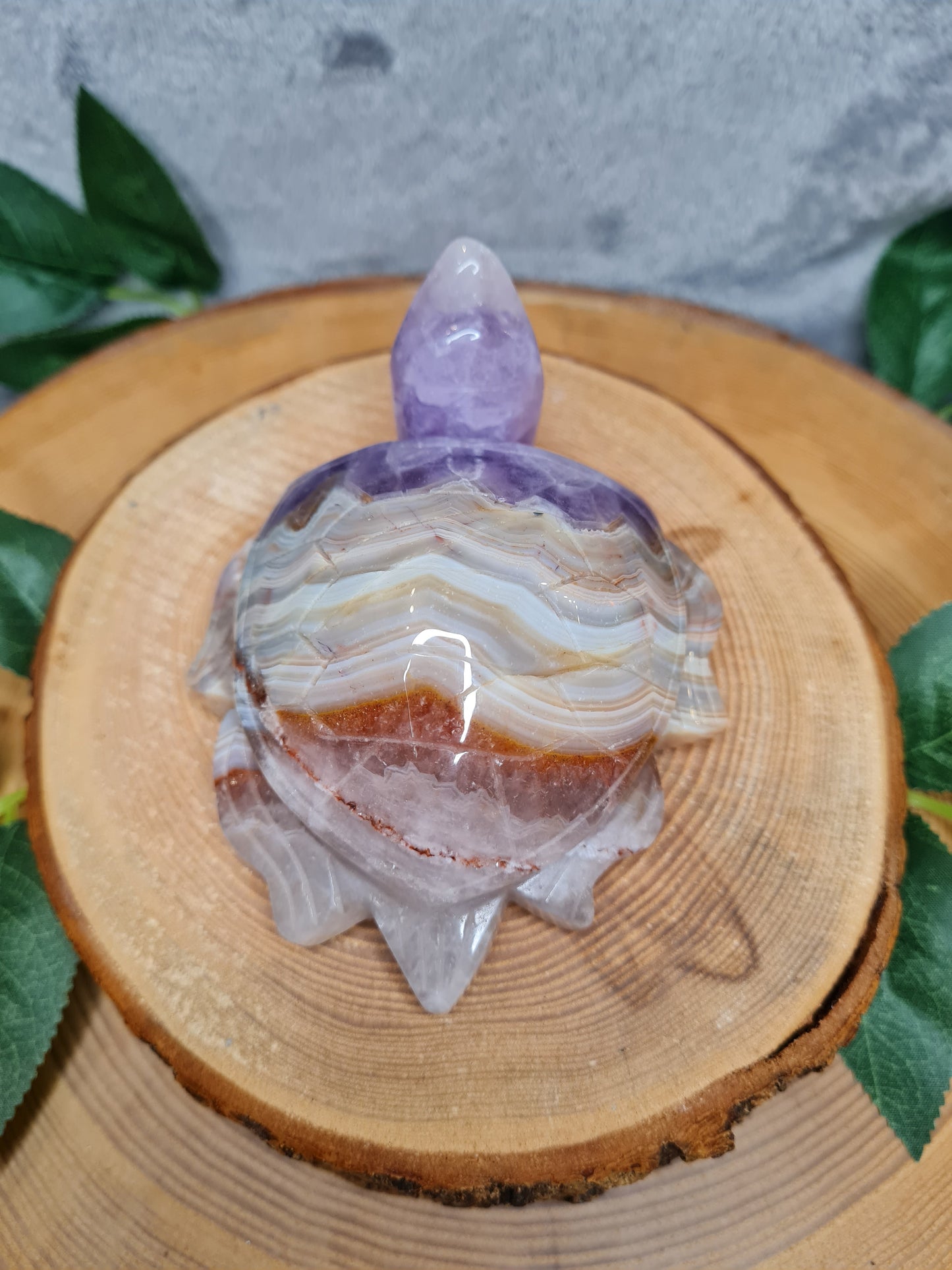 Amethyst mit Crazy Lace Achat Schildkröte (ACLS)