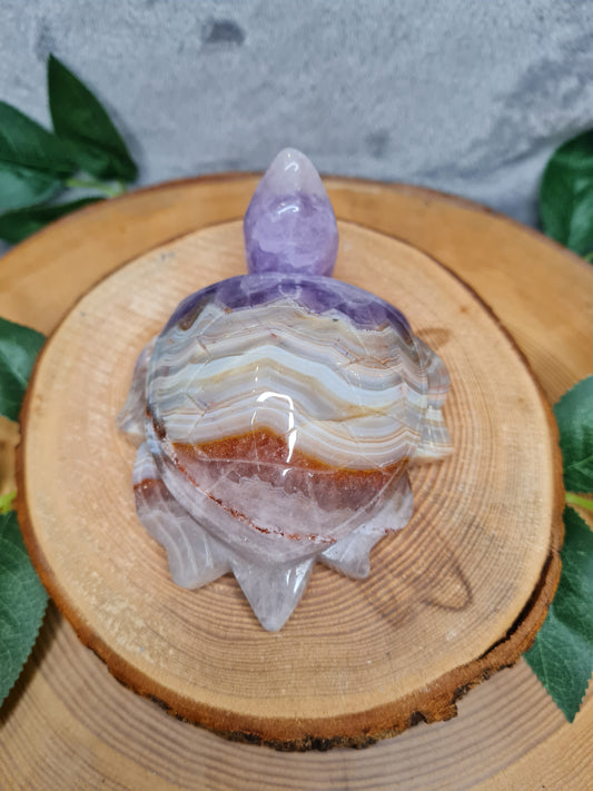 Amethyst mit Crazy Lace Achat Schildkröte (ACLS)