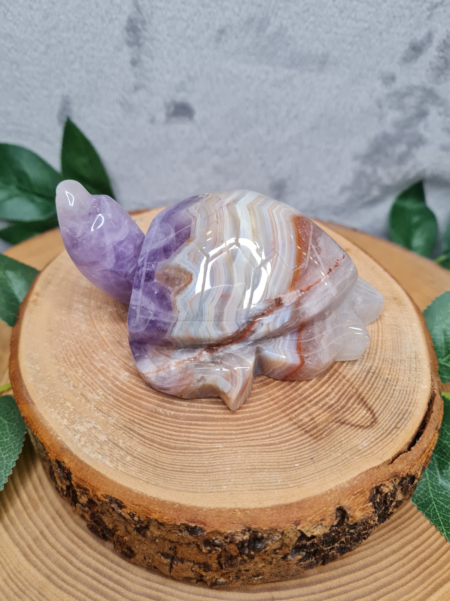 Amethyst mit Crazy Lace Achat Schildkröte (ACLS)