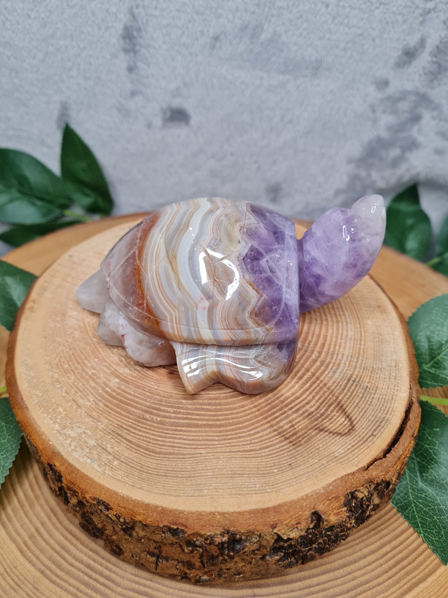 Amethyst mit Crazy Lace Achat Schildkröte (ACLS)