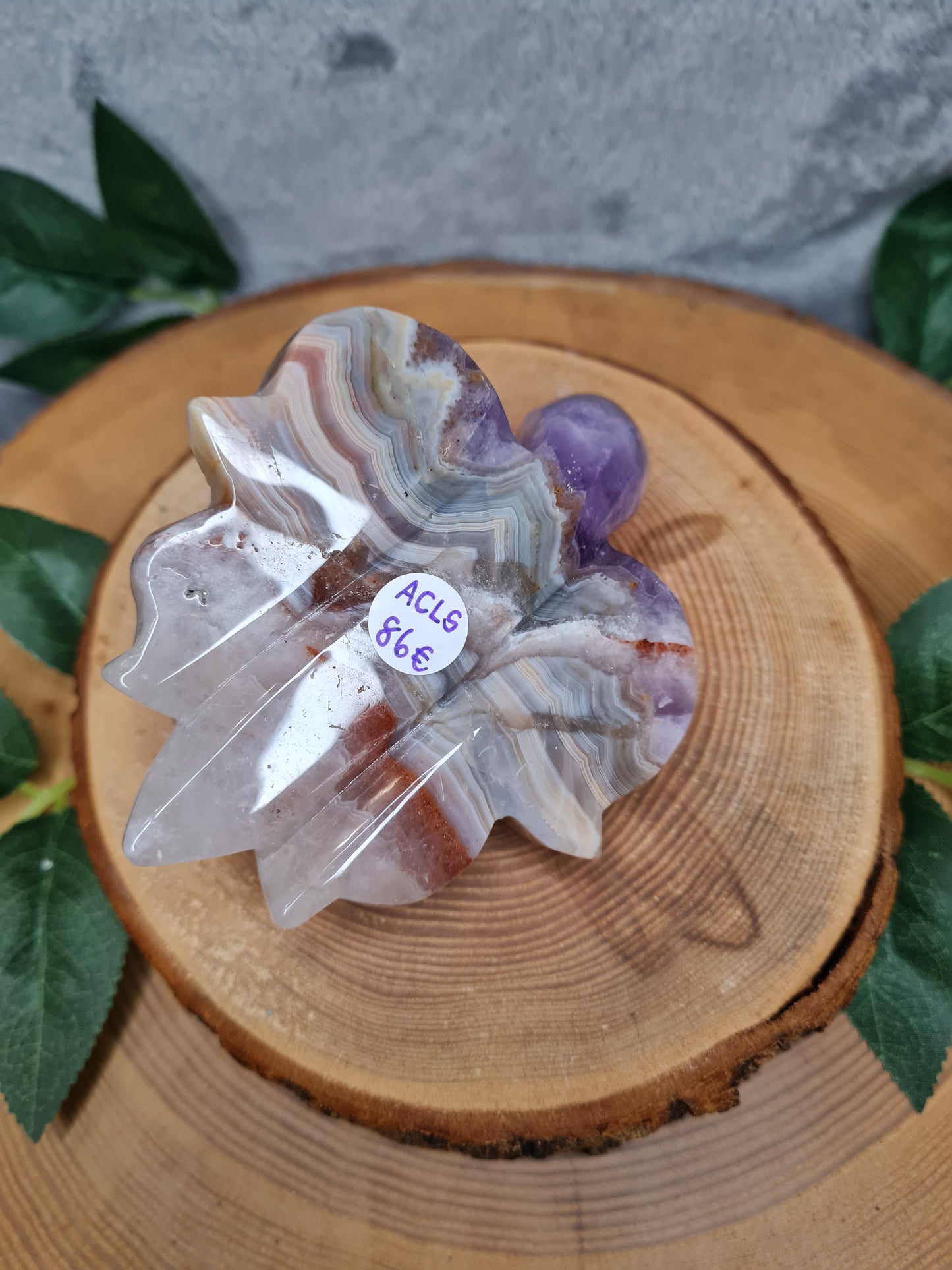 Amethyst mit Crazy Lace Achat Schildkröte (ACLS)