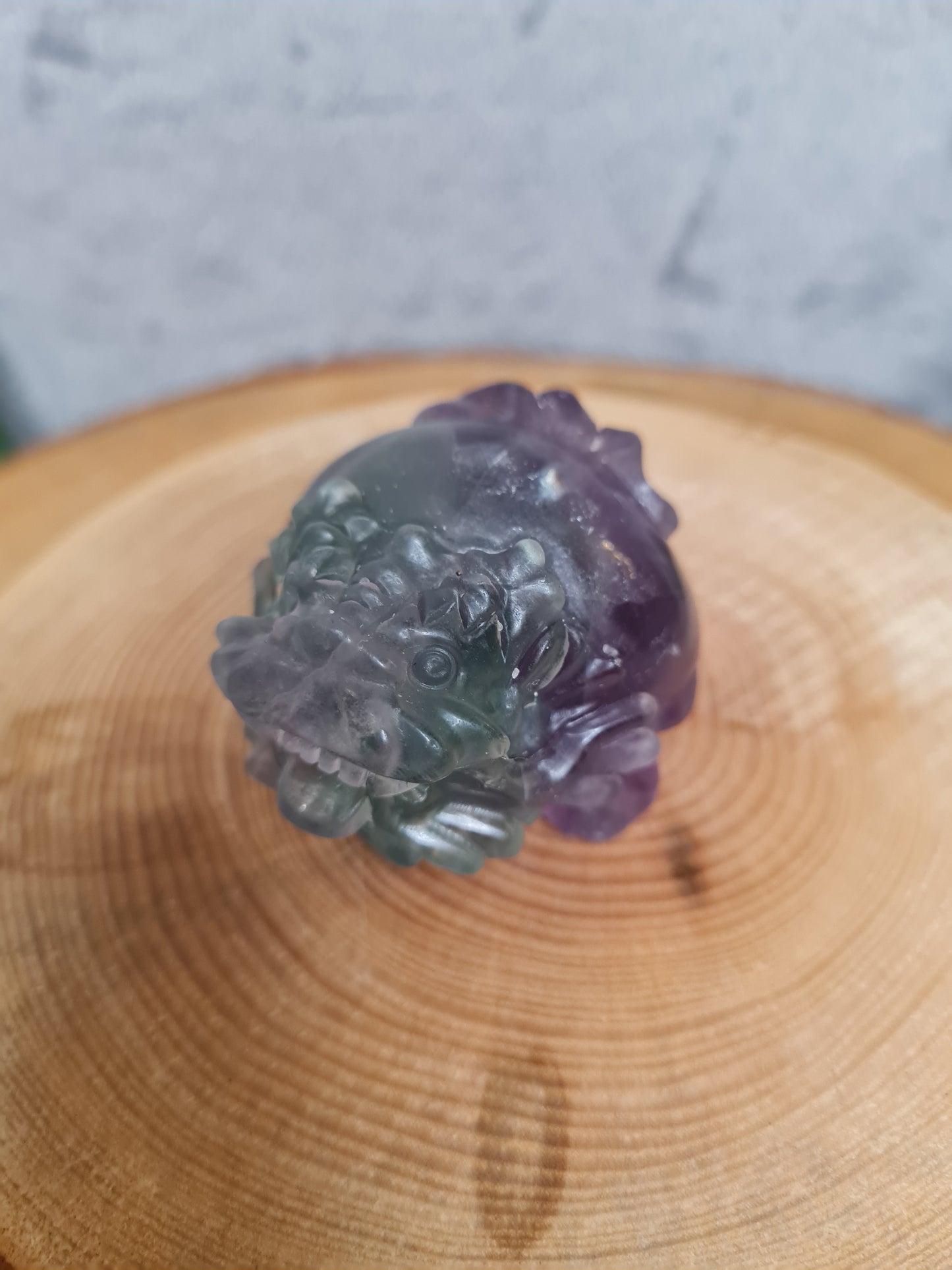 Drachenschildkröte (klein) Fluorit