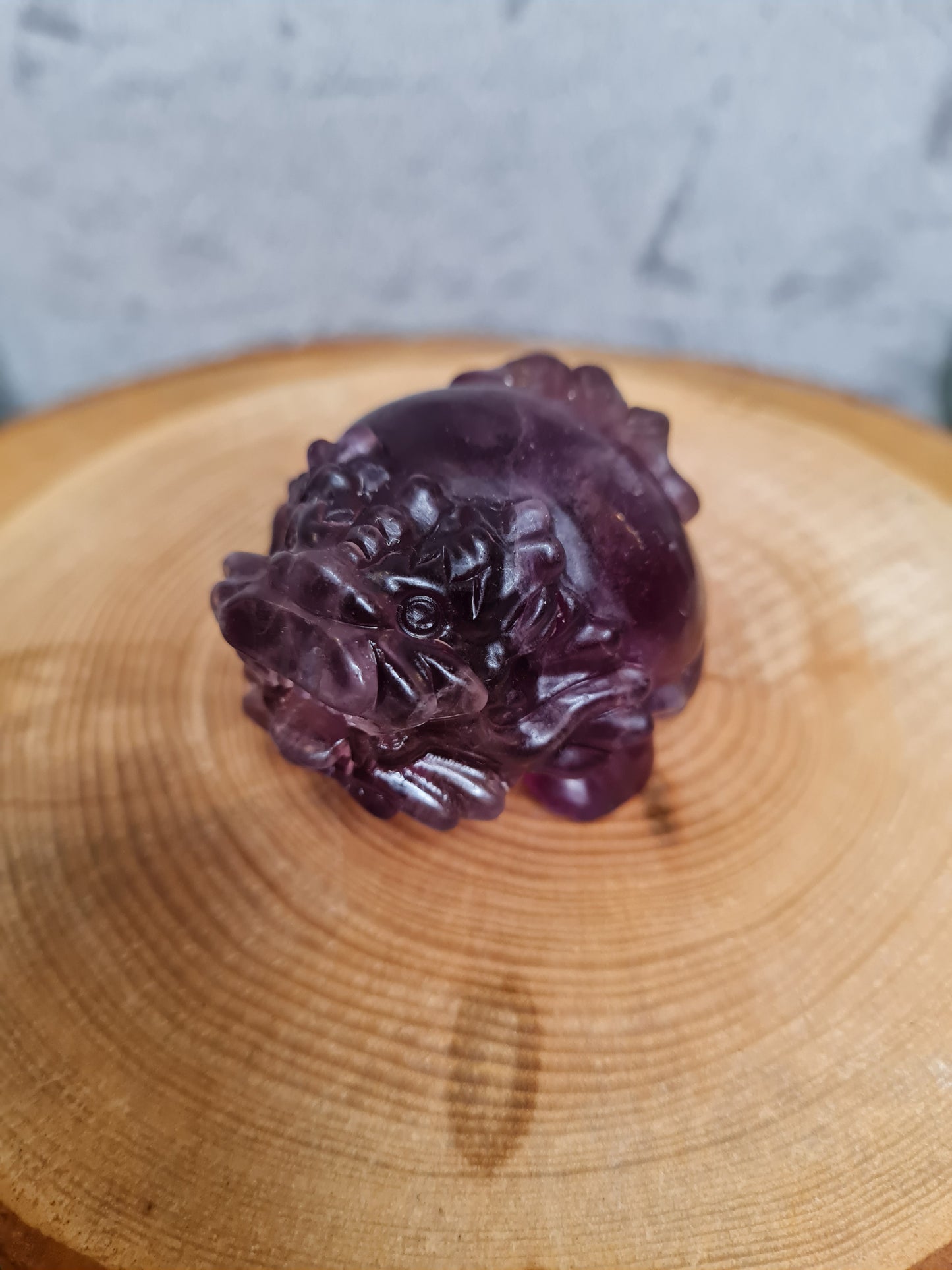 Drachenschildkröte (klein) Fluorit