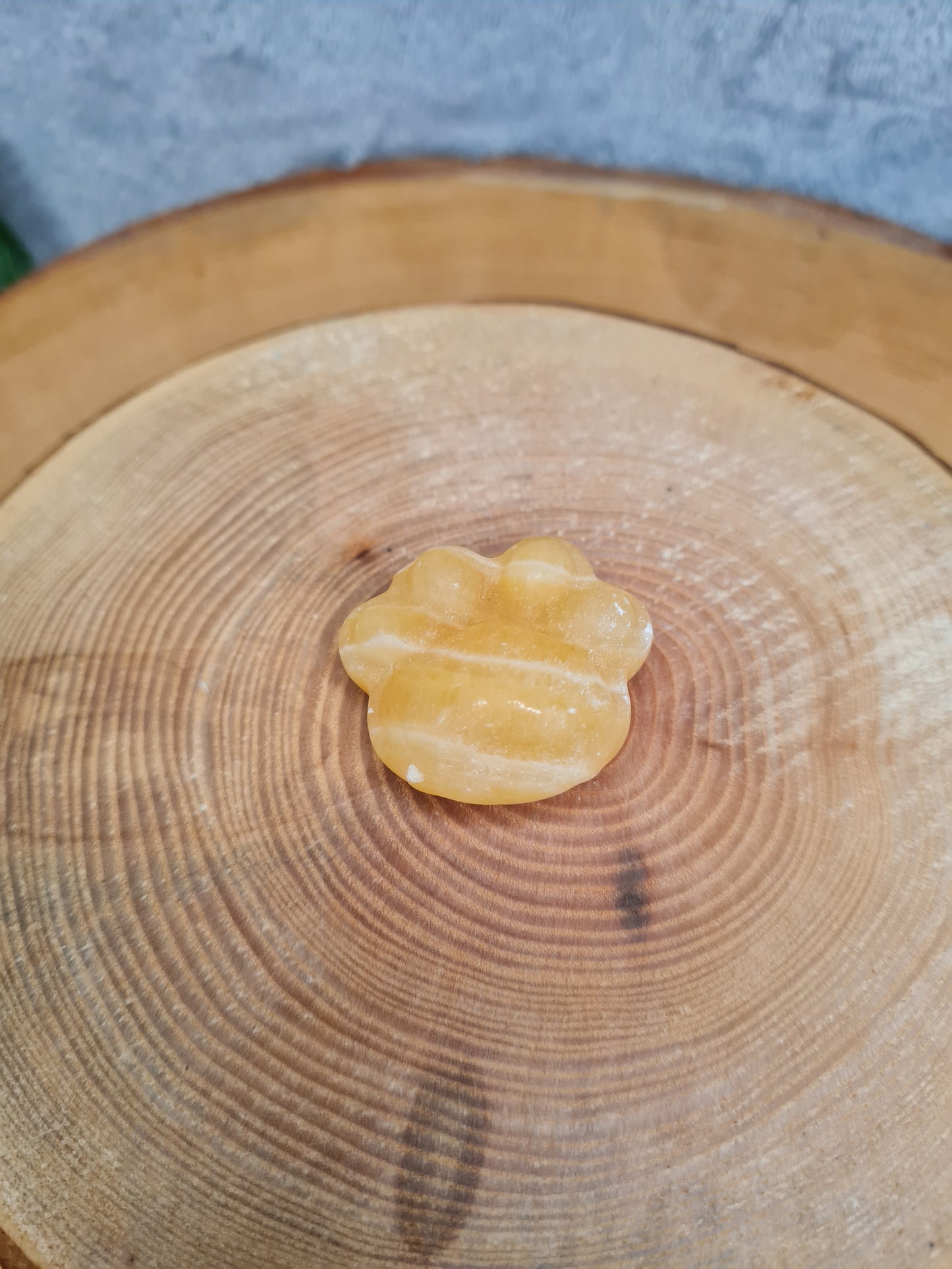 Kleine Pfoten Carvings