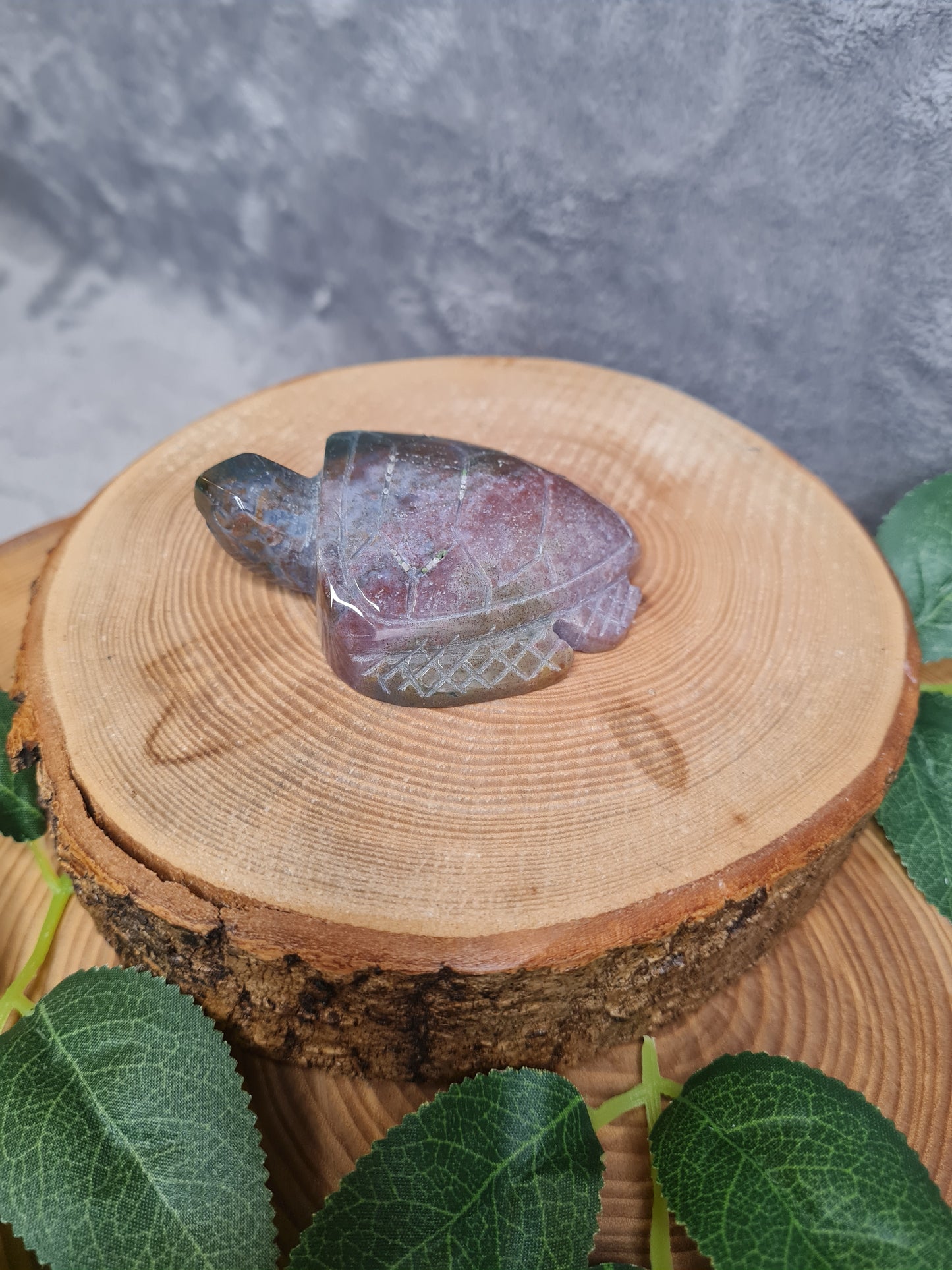 Ozean Jaspis Schildkröte (OJ19)