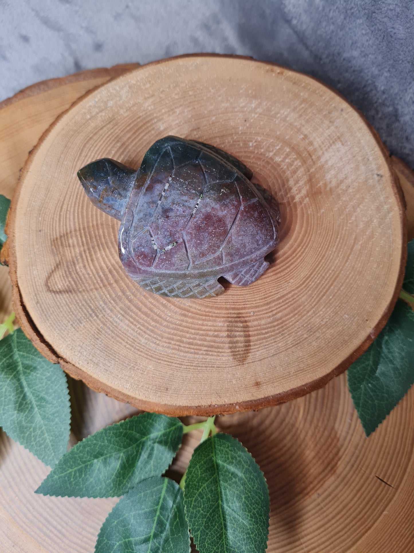 Ozean Jaspis Schildkröte (OJ19)