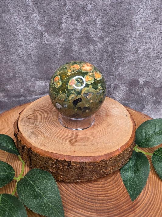 Regenwaldjaspis Kugel (G45)