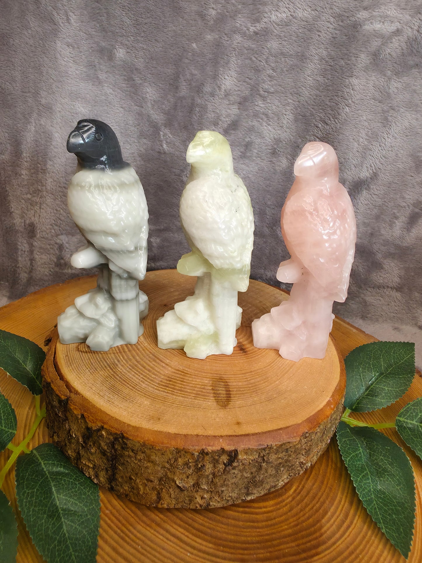 Papagei Carving (wählbar)