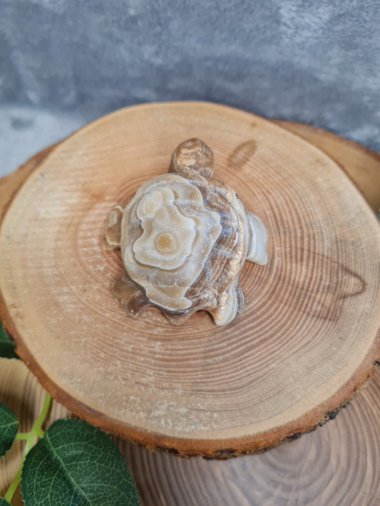 Schokoladen Calcit Schildkröte (CD25)