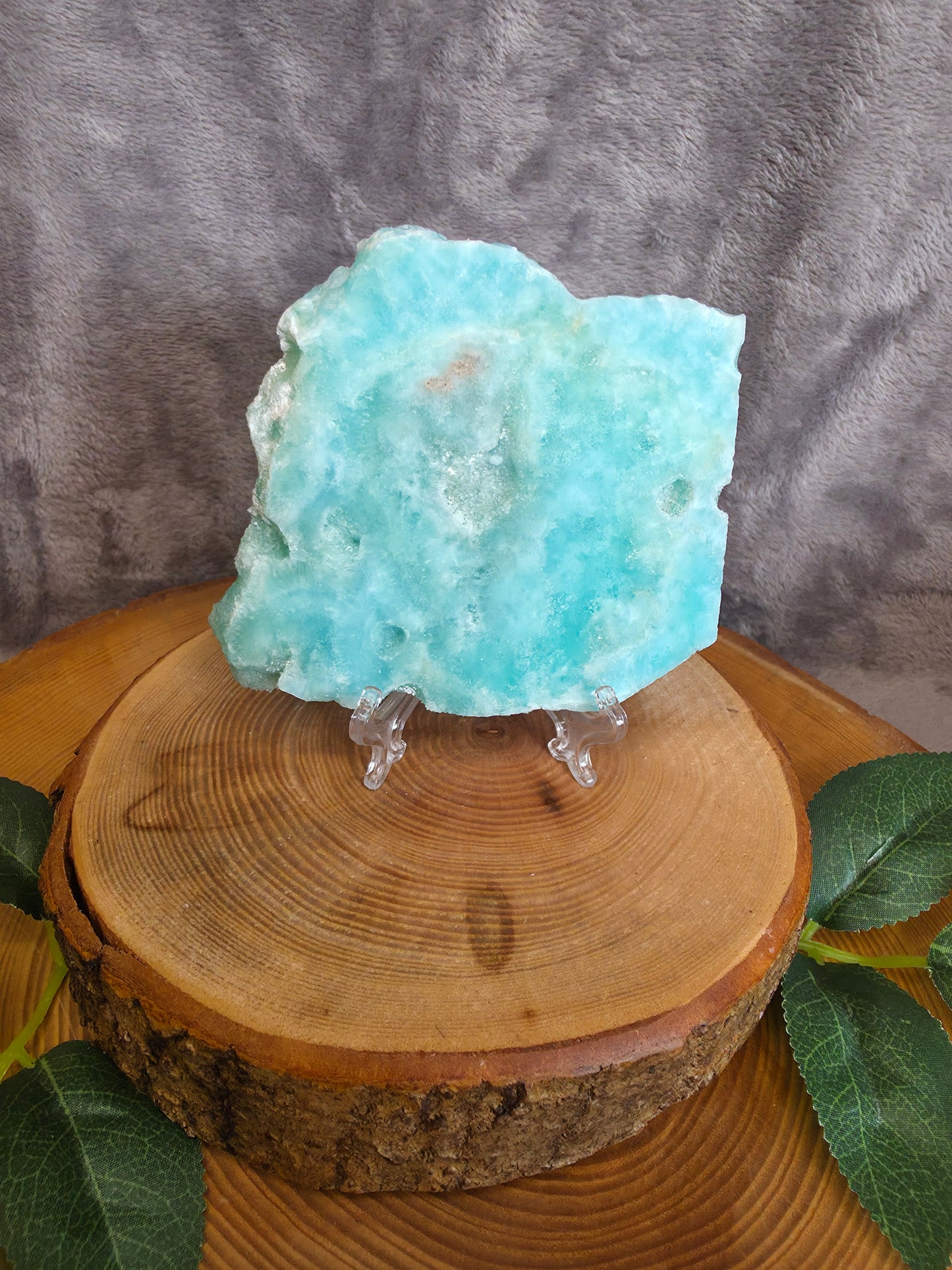 Karibischer Calcit/ Aragonit Scheibe (B18)