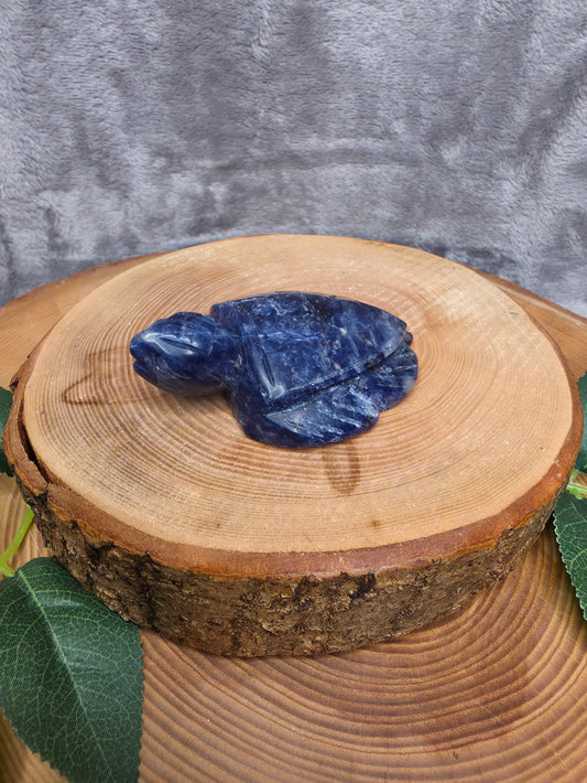 Sodalith Schildkröte (D21)