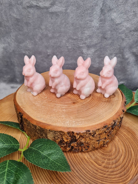 Pink Opal Hase