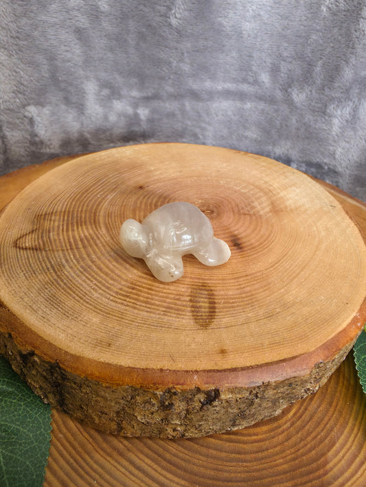 Mondstein Schildkröte klein