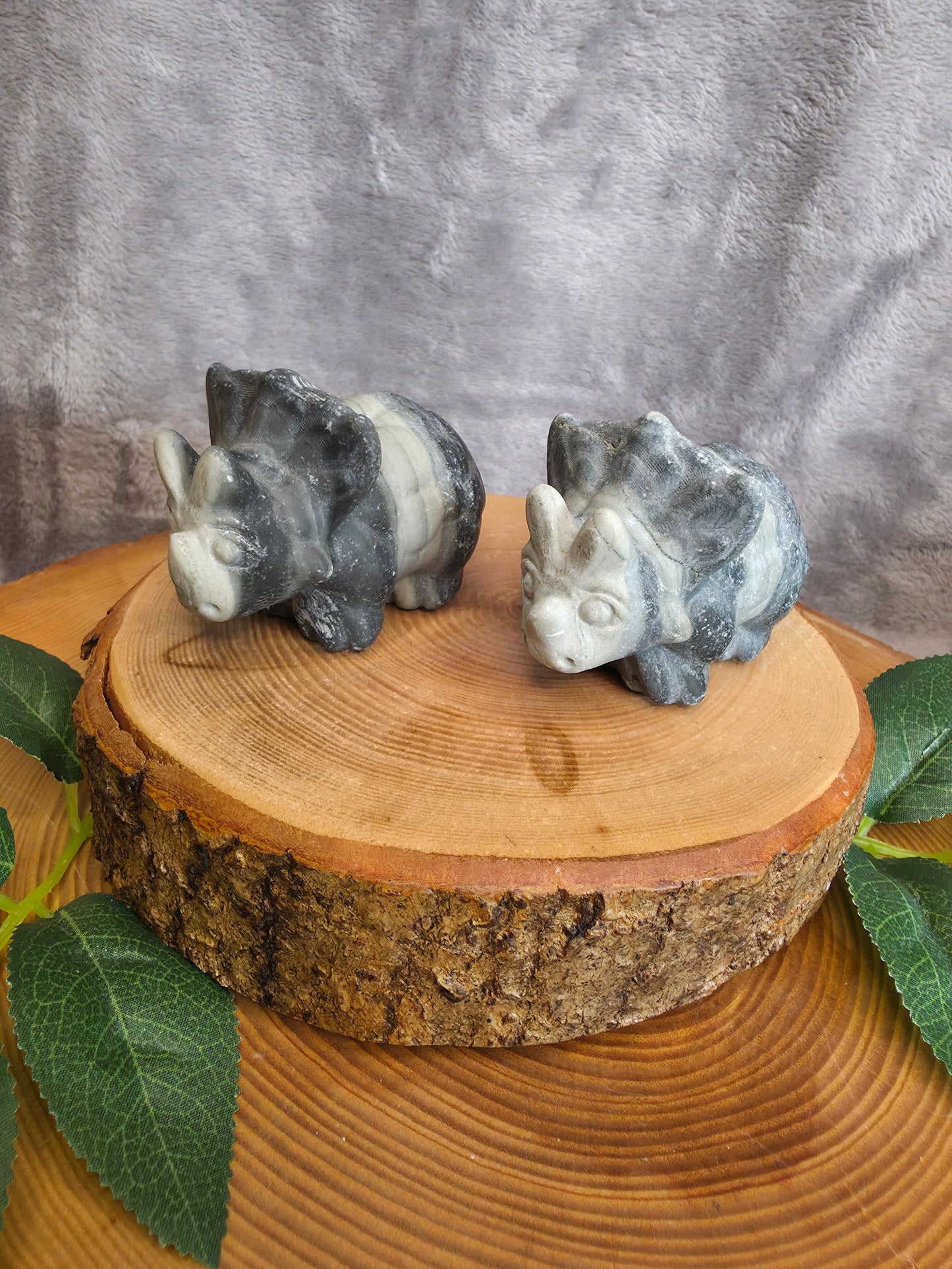 Tai Chi Triceratops (wählbar)