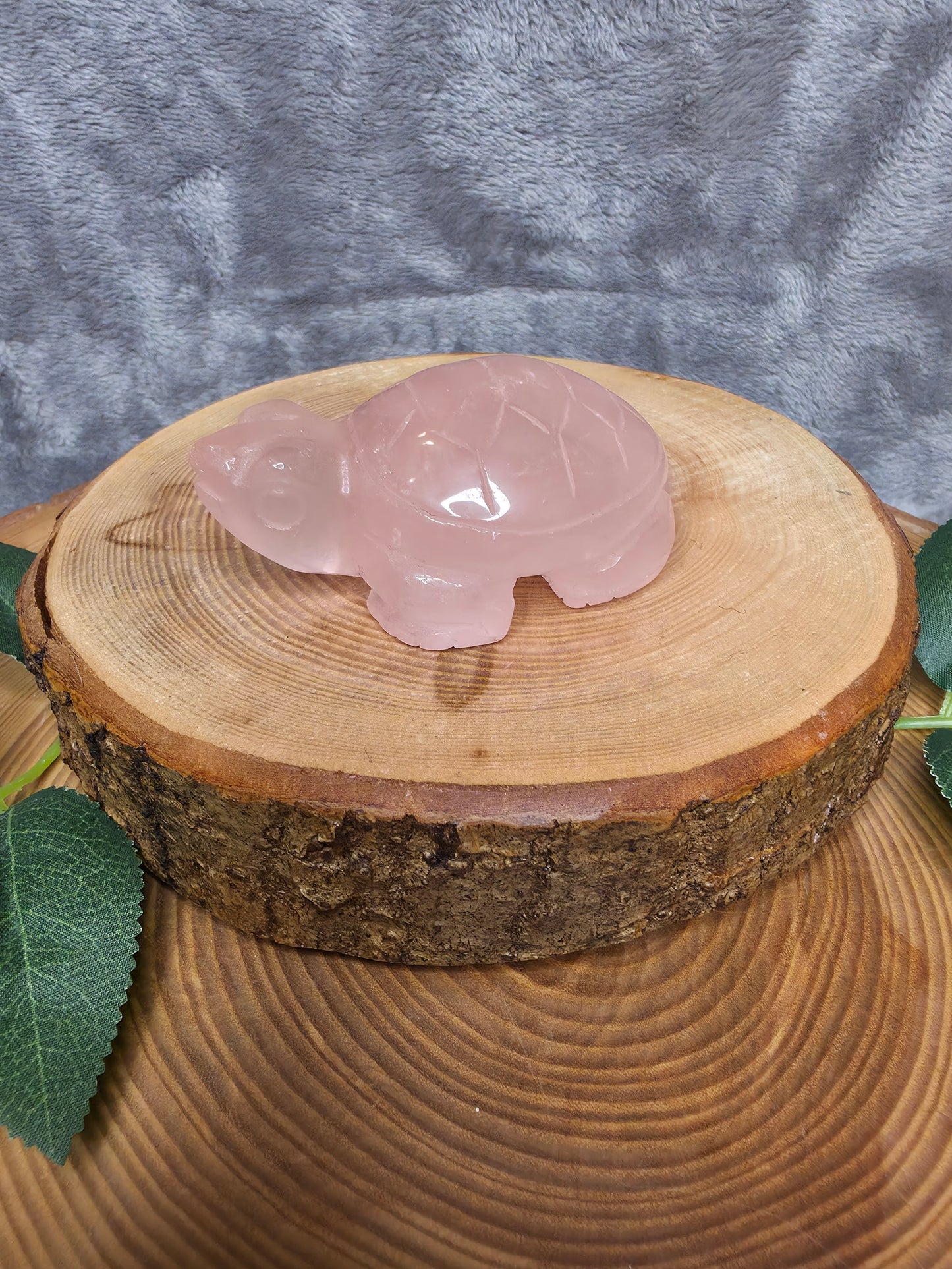 Rosenquarz mit Stern Schildkröte (R33)