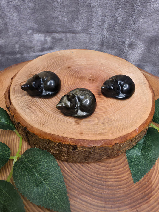 Goldener Obsidian schlafende Katze
