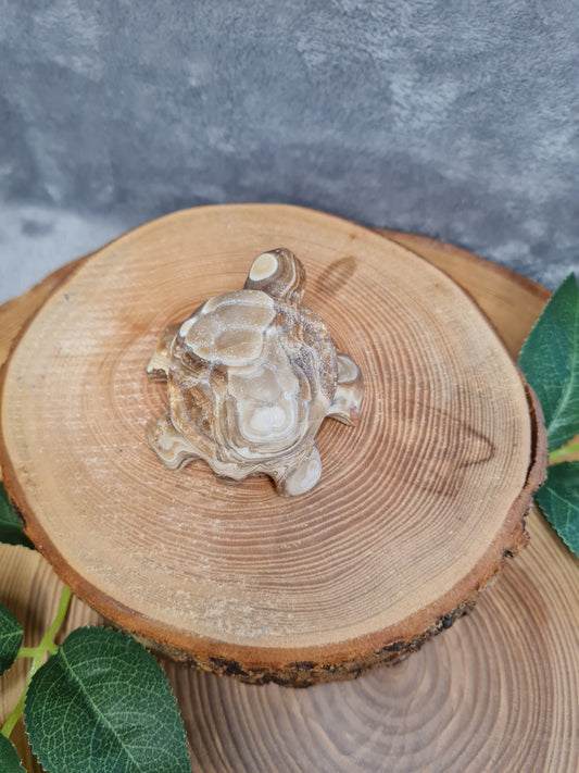 Schokoladen Calcit Schildkröte (CE25)