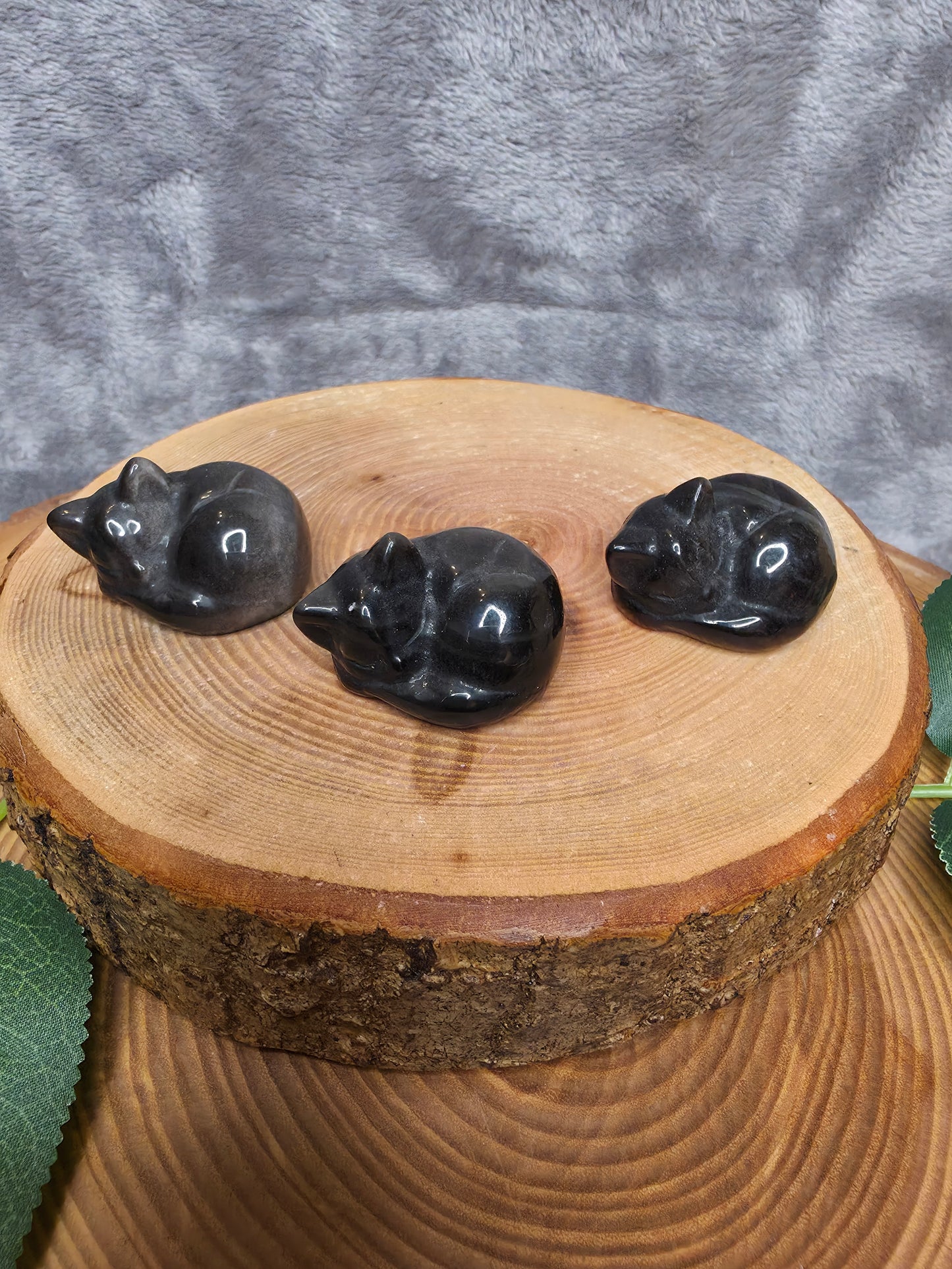 Silberobsidian schlafende Katze