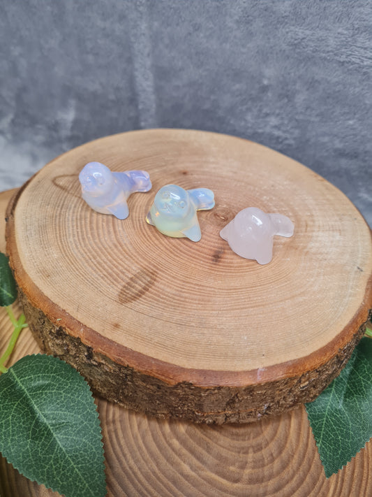 Robben Carving klein