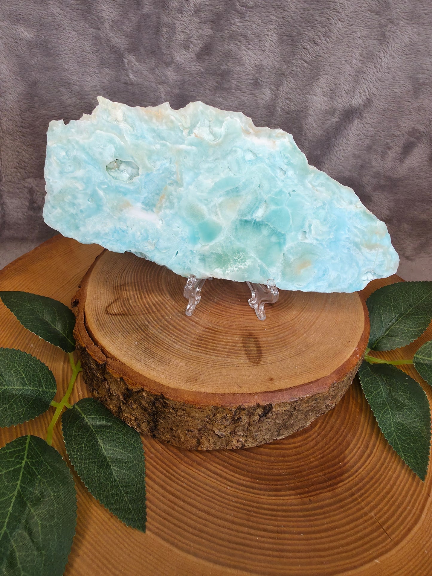 Karibischer Calcit/ Aragonit Scheibe (A19)