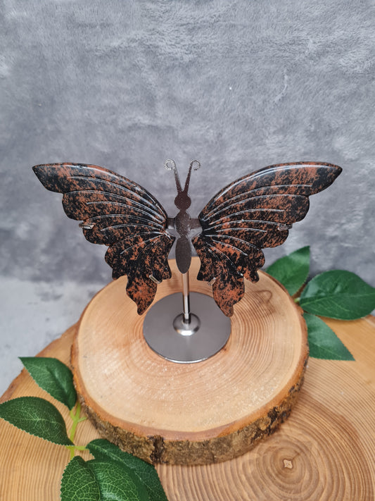 Mahagoni Obsidian Schmetterling (MO25)