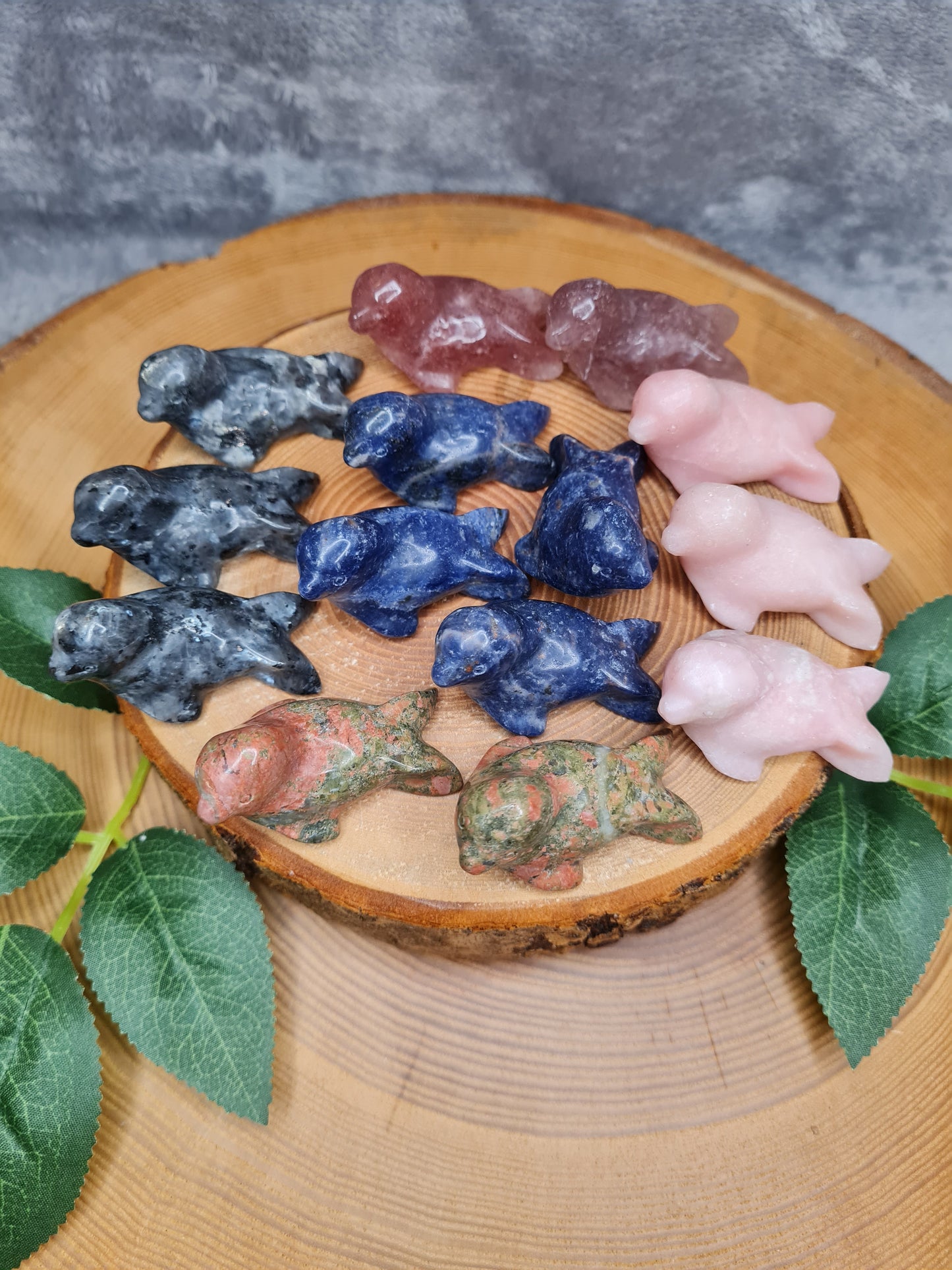 Seehund Carving (versch. Varianten)