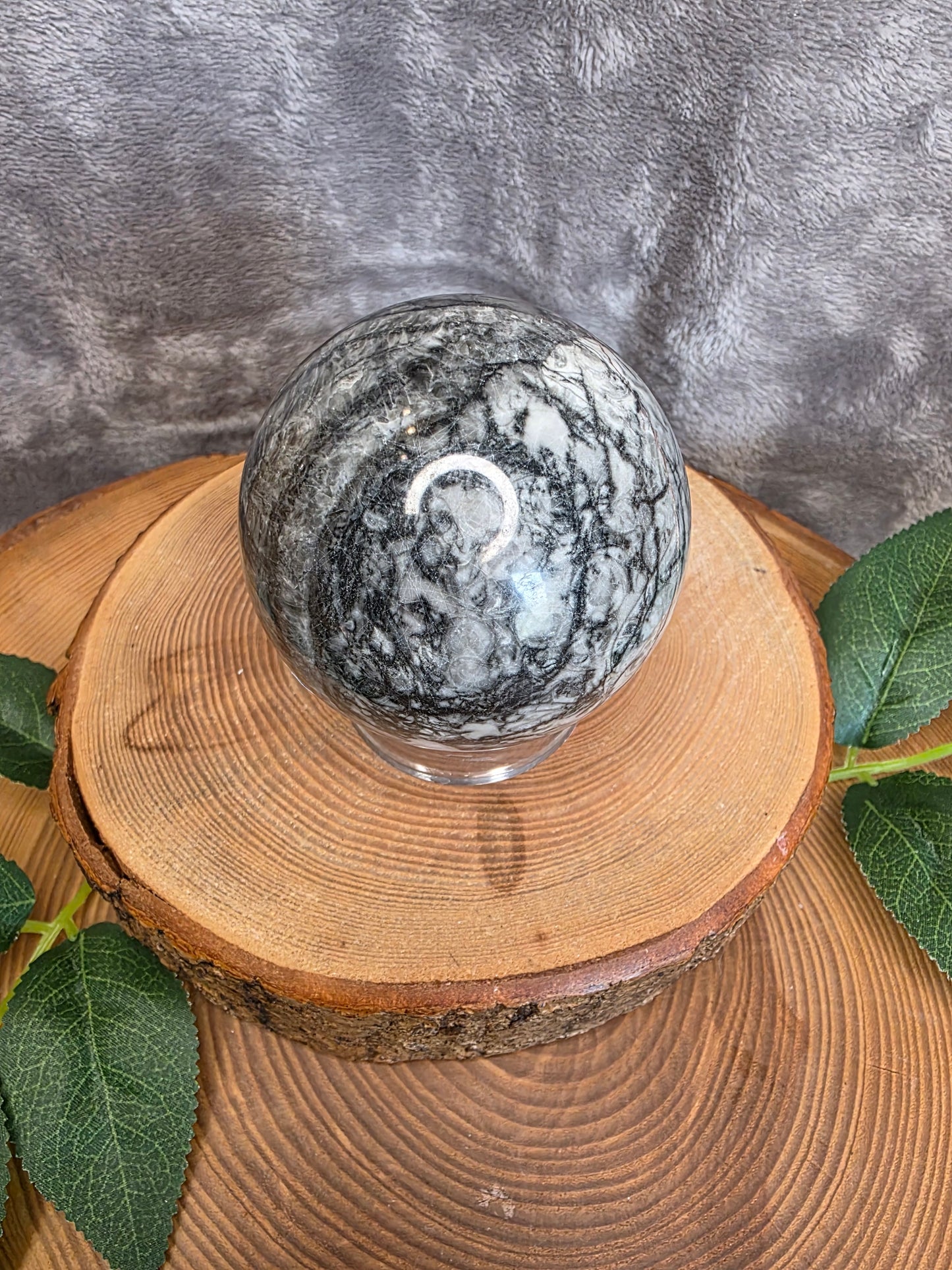 Muschel/Schnecken Fossilien Kugel (F36)