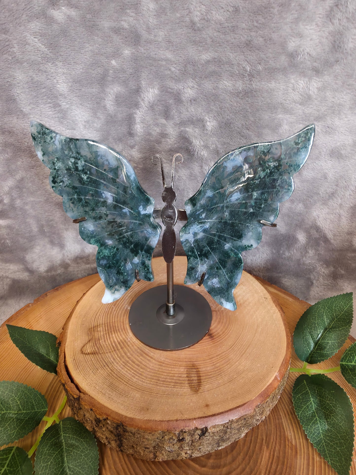 Moosachat Schmetterling (O39)