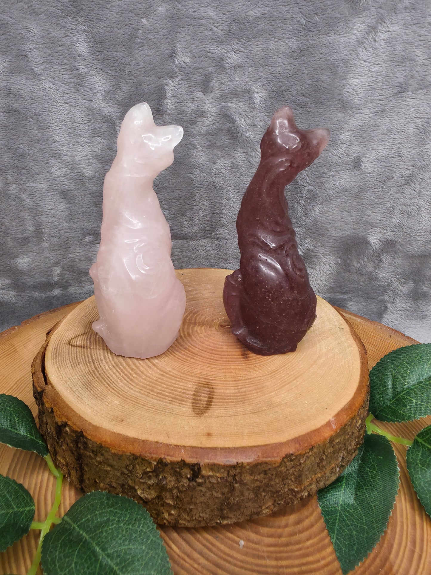 Katzen Carving (wählbar)