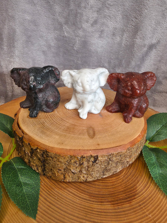 Koala Carvings (wählbar)