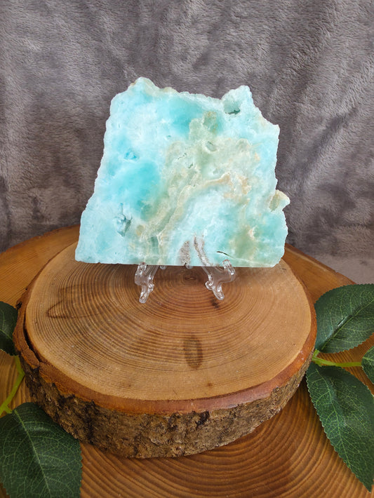 Karibischer Calcit/ Aragonit Scheibe (U16)