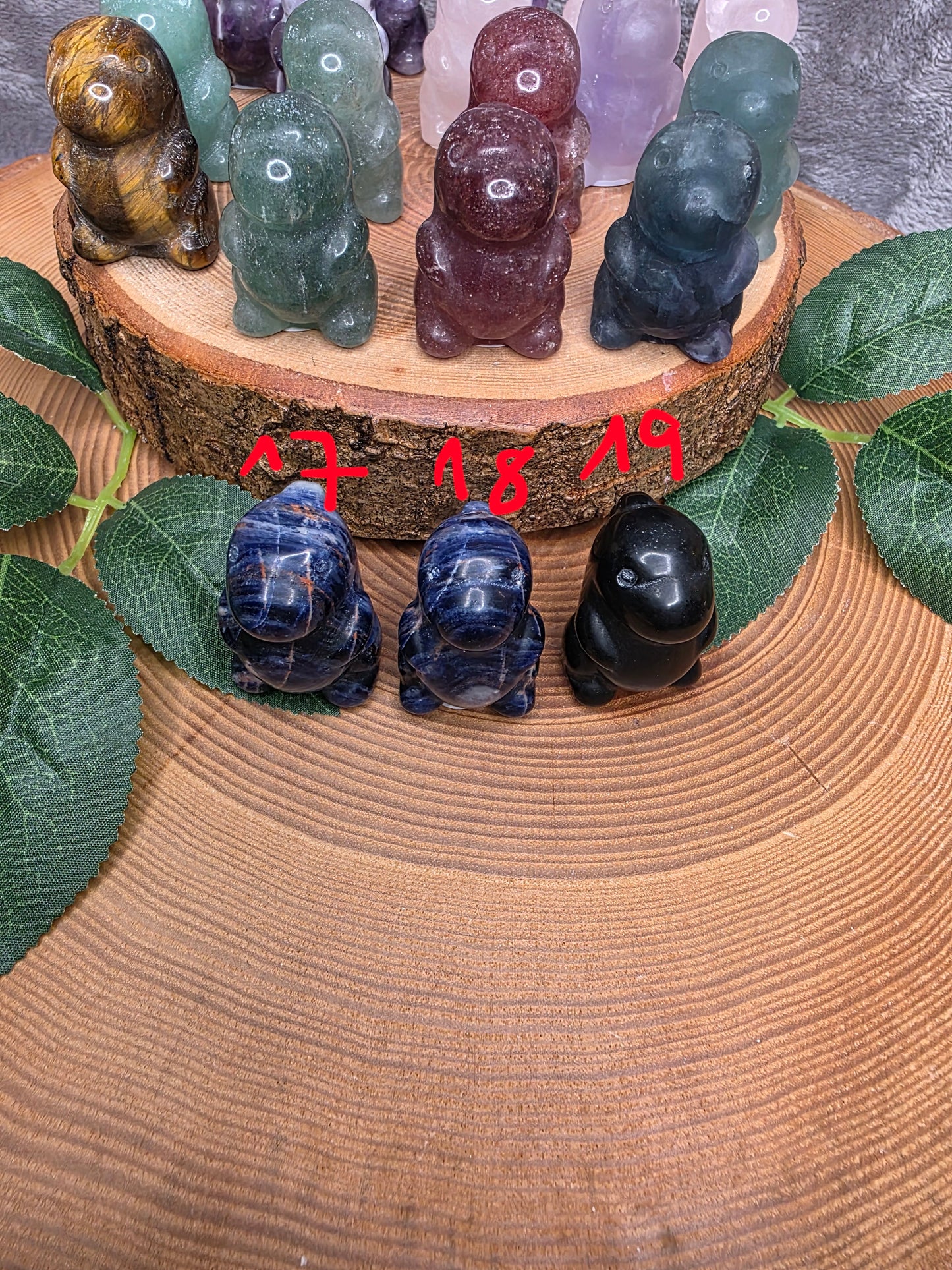 Dino Carving klein (wählbar)