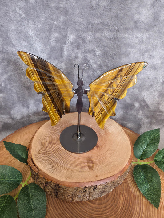 Tigerauge Schmetterling (T39)