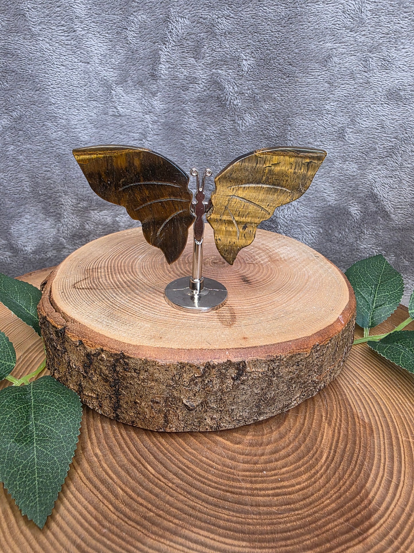 Tigerauge Mini Schmetterling (T15)